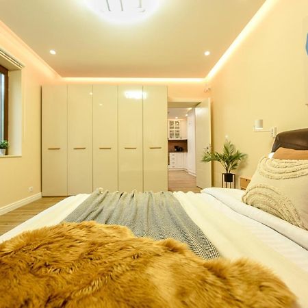 Green Leafy Brasov - Ideal 2 Bedroom Apartment 外观 照片