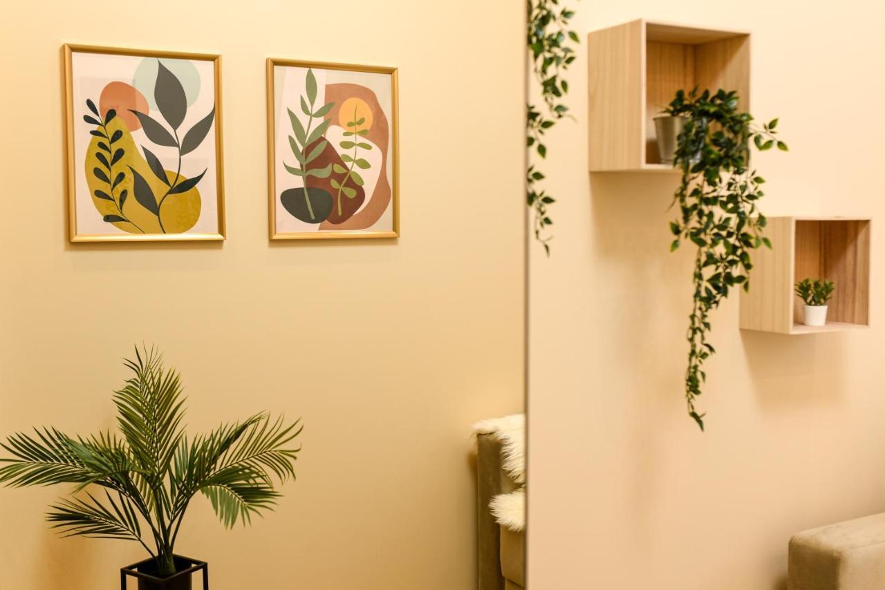 Green Leafy Brasov - Ideal 2 Bedroom Apartment 外观 照片