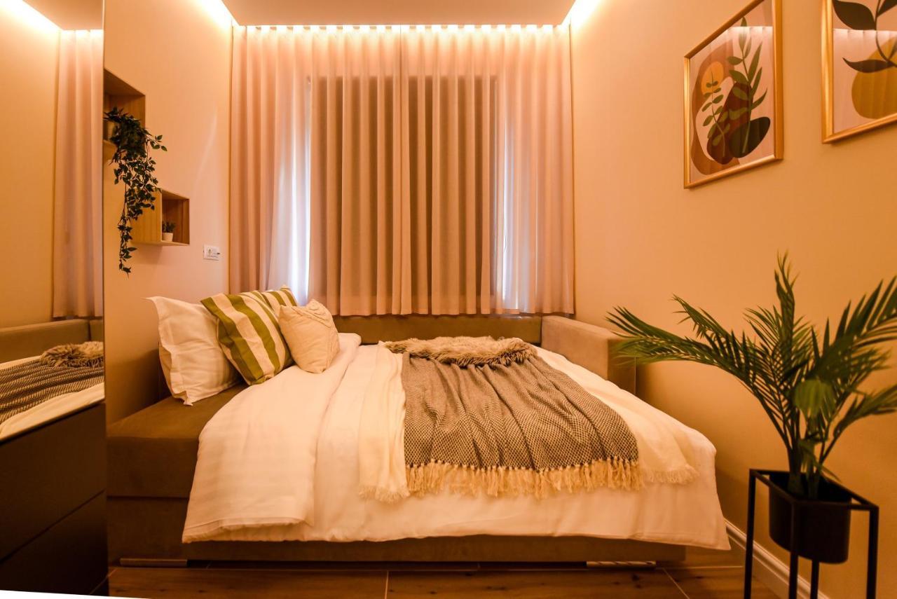 Green Leafy Brasov - Ideal 2 Bedroom Apartment 外观 照片