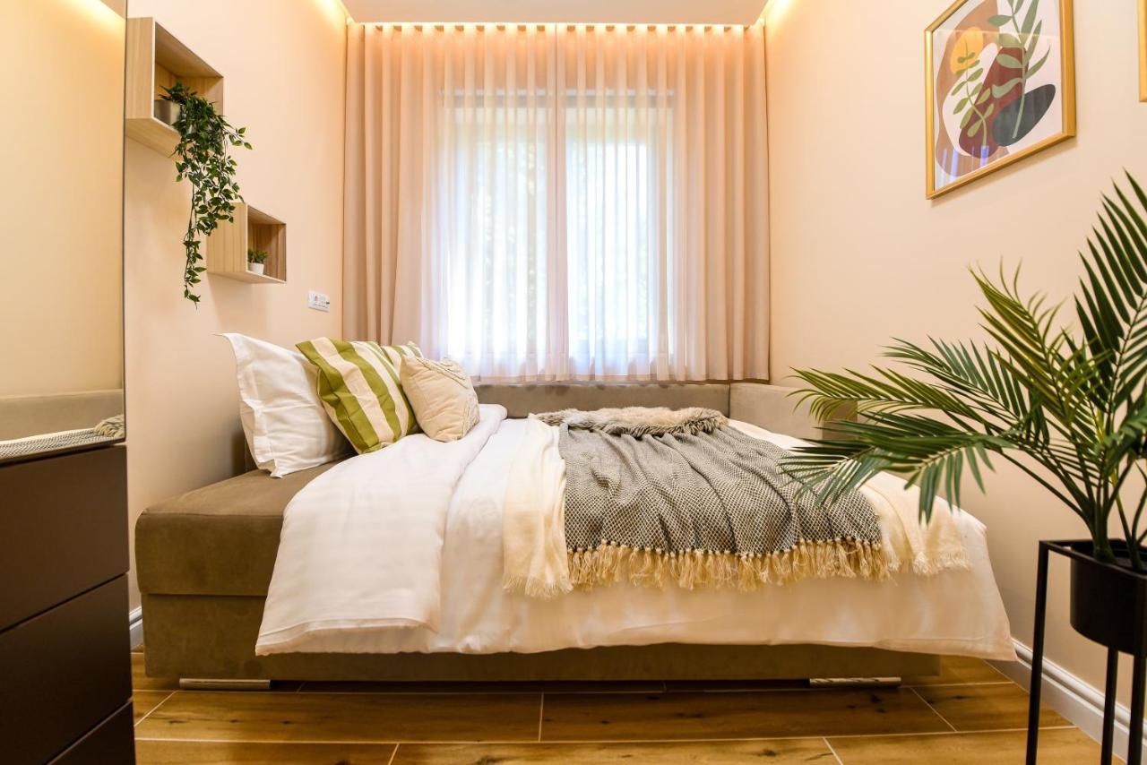 Green Leafy Brasov - Ideal 2 Bedroom Apartment 外观 照片